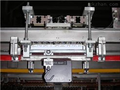 屠宰称1000kg_武汉屠宰称价格